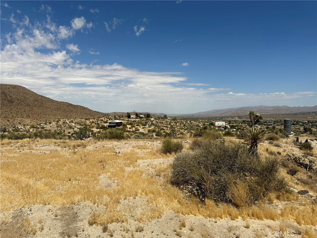 MLS #JT25038264 image #11