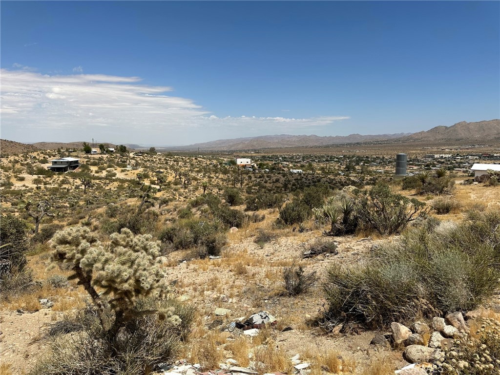 MLS #JT25038264 image #3