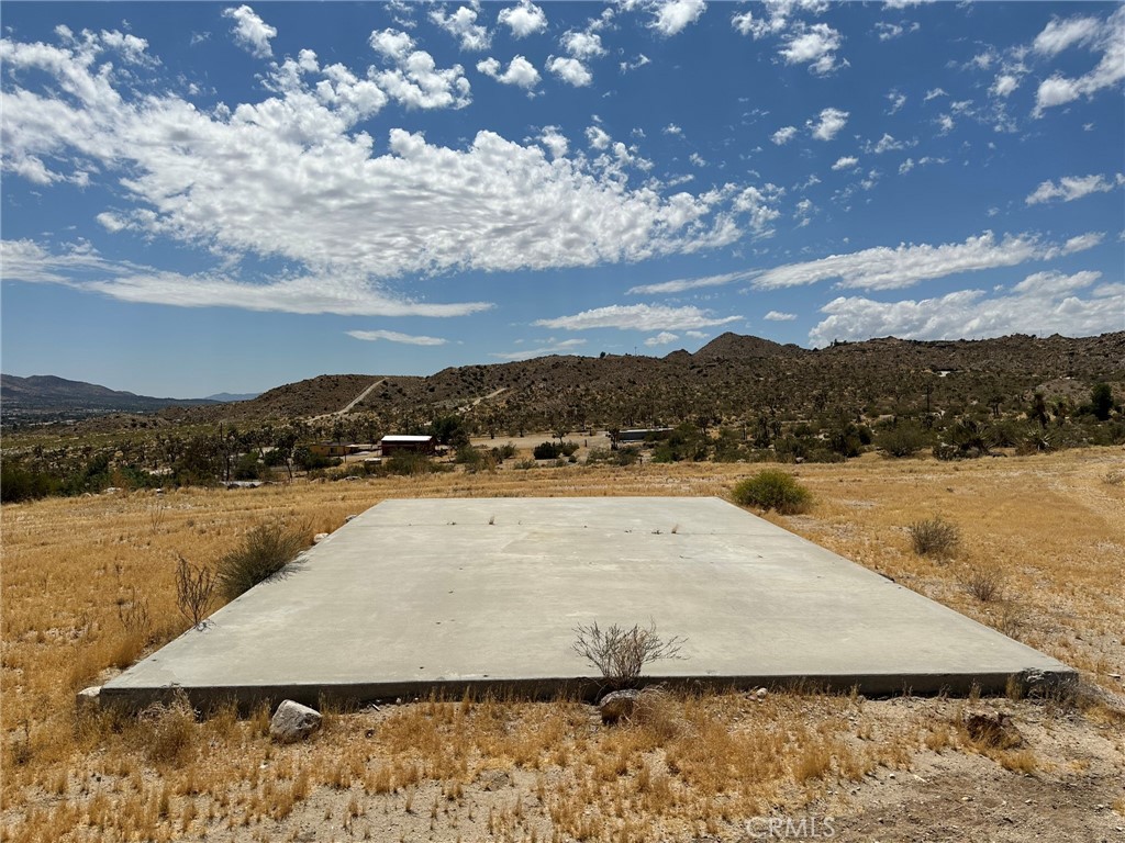 MLS #JT25038264 image #4