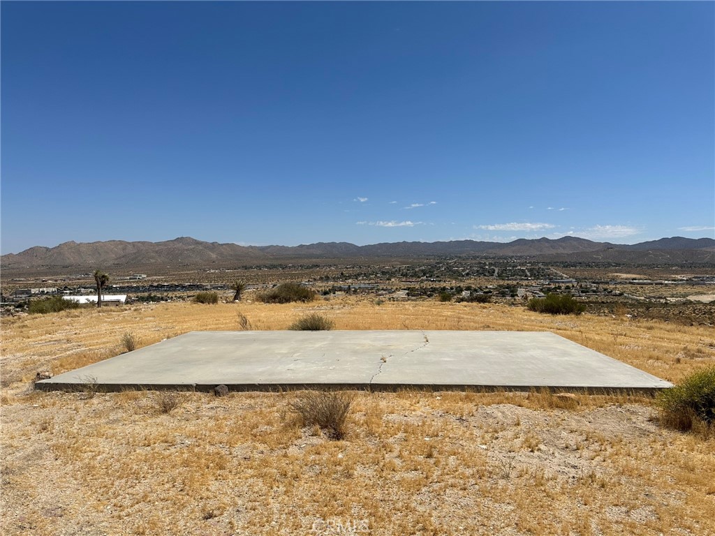 MLS #JT25038264 image #5