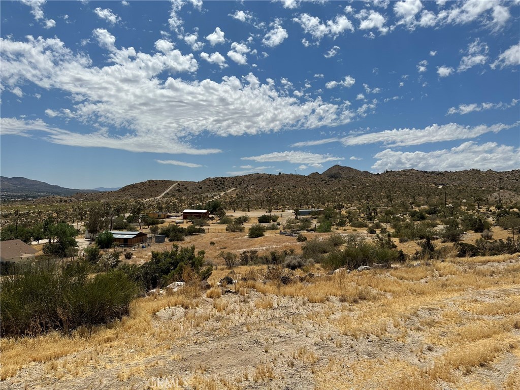 MLS #JT25038264 image #7