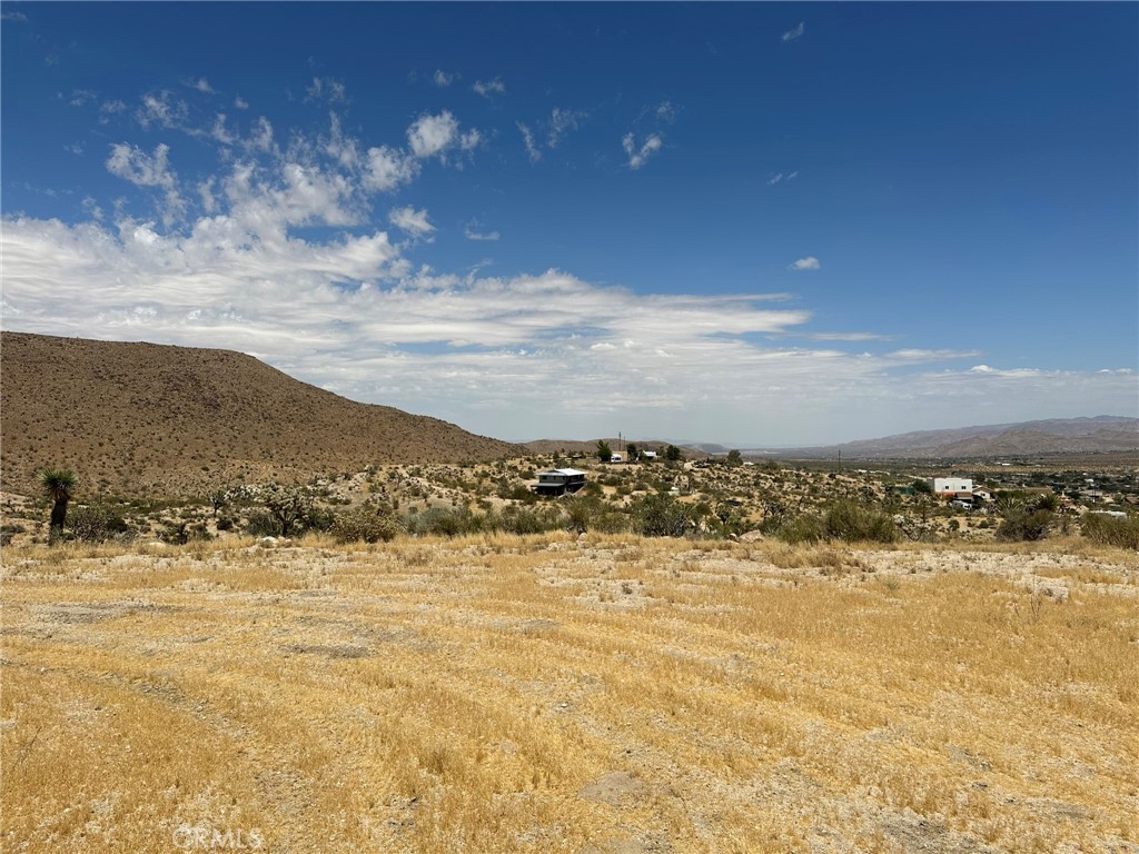 MLS #JT25038264 image #8