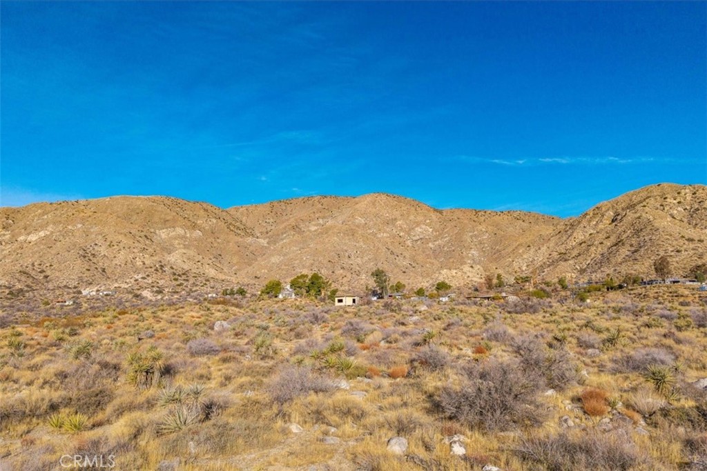 MLS #JT25039190 image #12