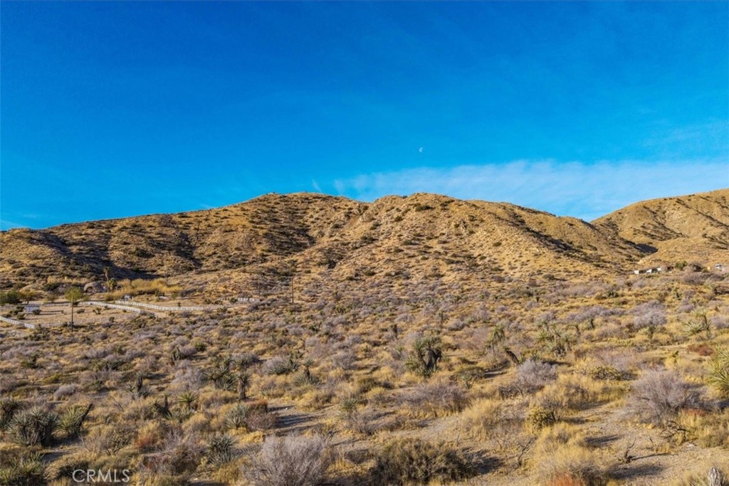 MLS #JT25039190 image #13