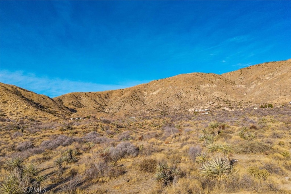 MLS #JT25039190 image #14