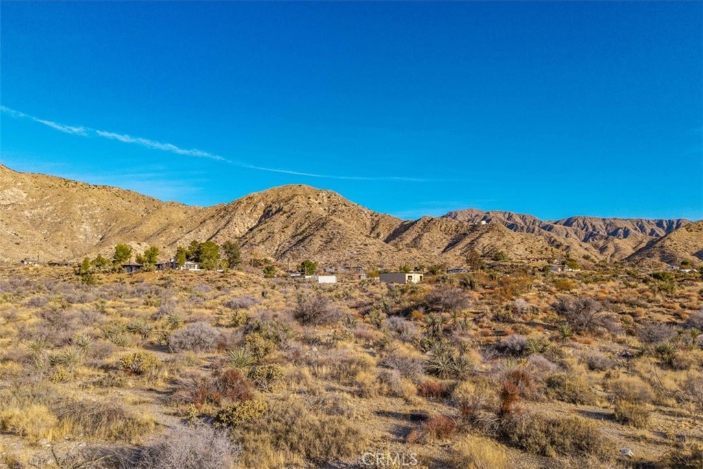 MLS #JT25039190 image #15