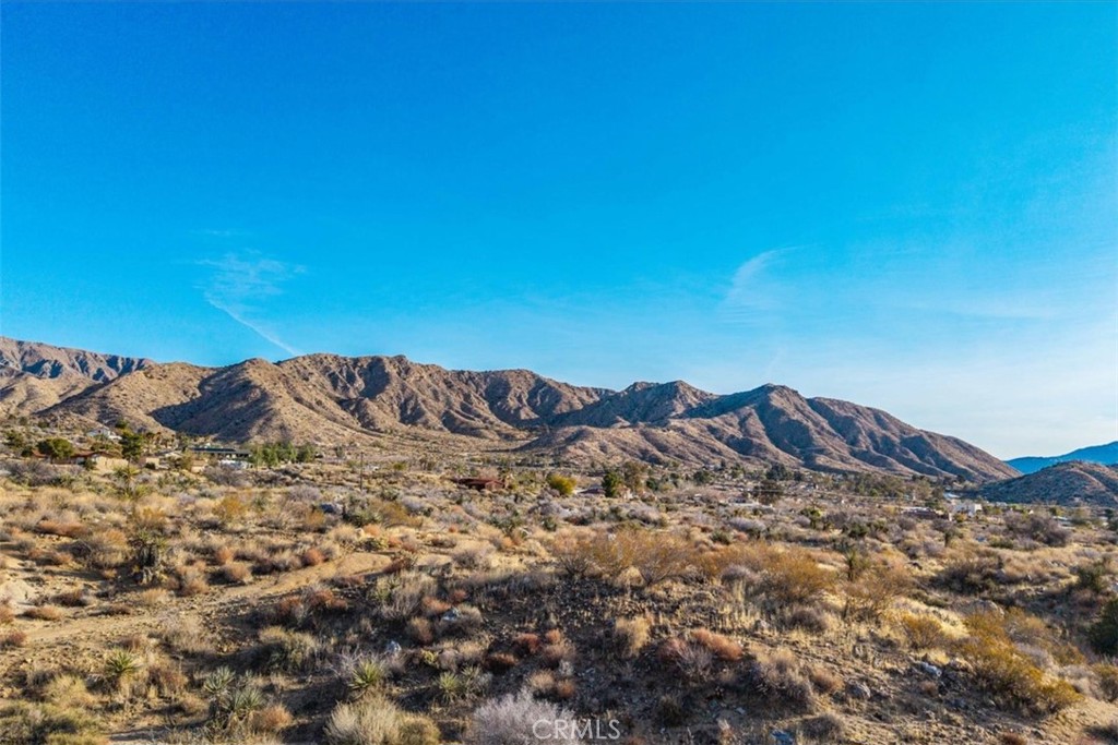 MLS #JT25039190 image #16