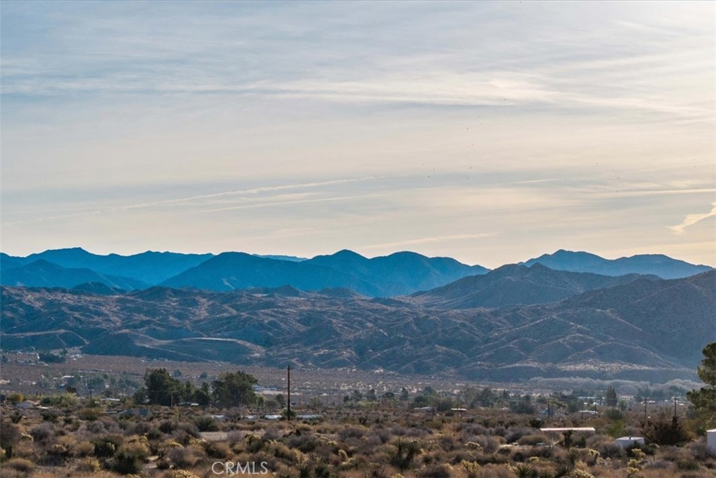 MLS #JT25039190 image #19