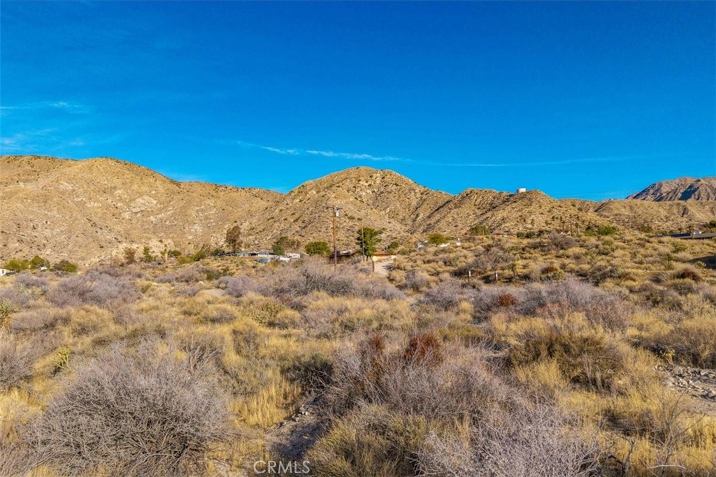 MLS #JT25039190 image #2