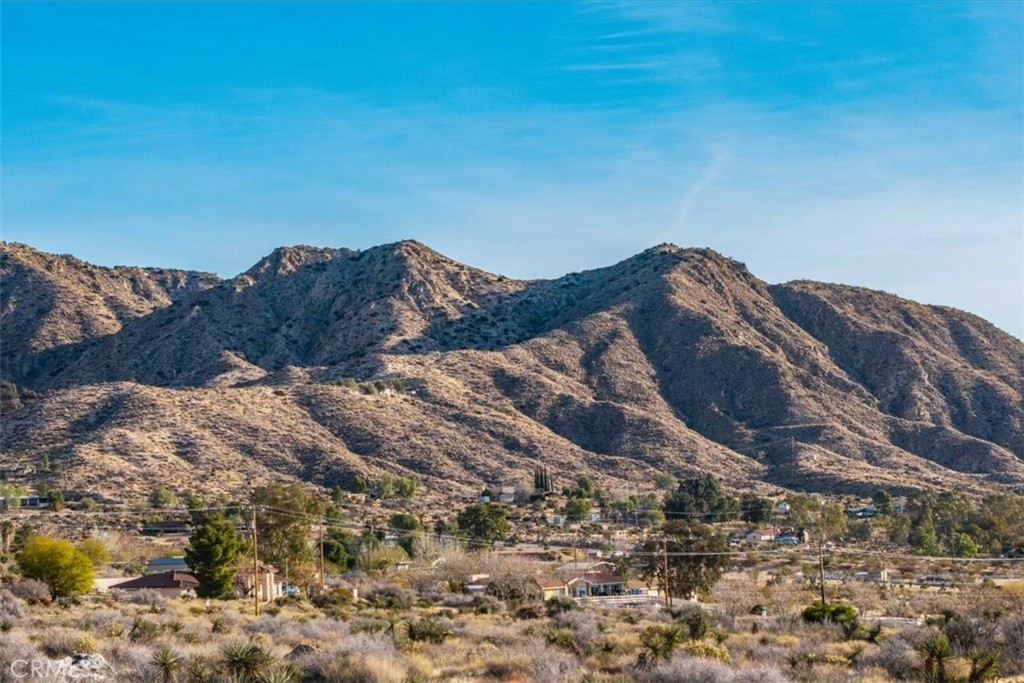 MLS #JT25039190 image #21