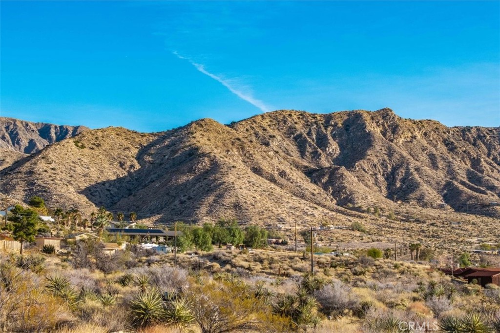 MLS #JT25039190 image #23