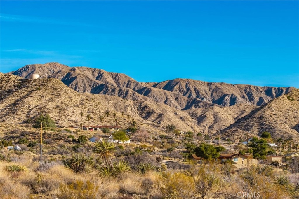 MLS #JT25039190 image #24