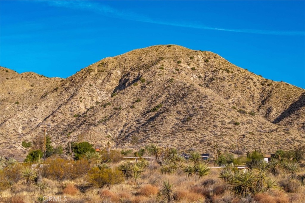 MLS #JT25039190 image #25