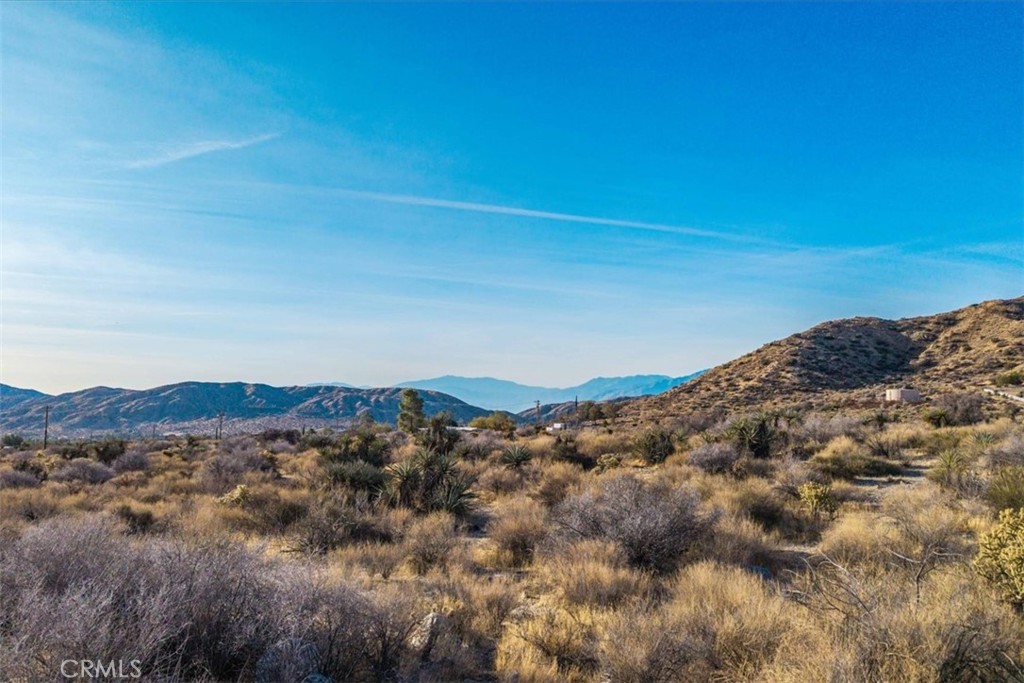 MLS #JT25039190 image #3