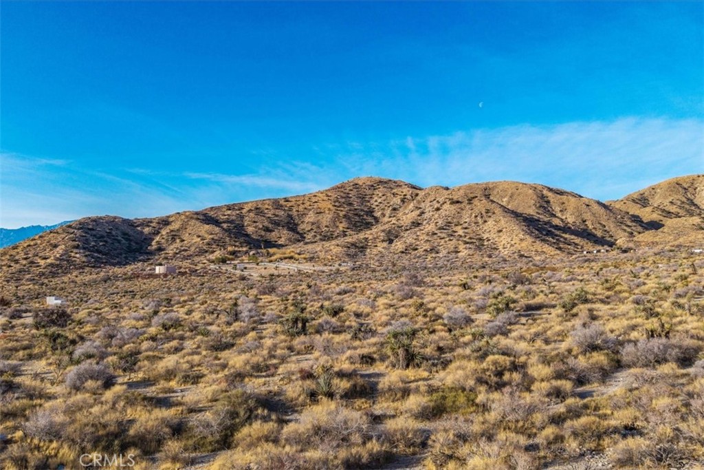 MLS #JT25039190 image #39