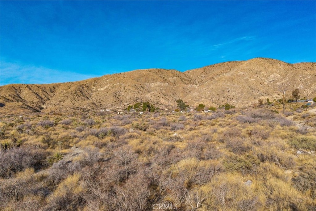 MLS #JT25039190 image #40