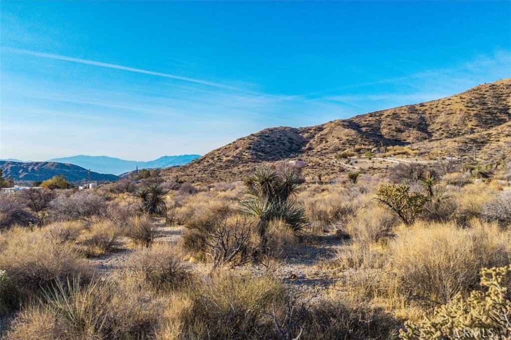 MLS #JT25039190 image #5