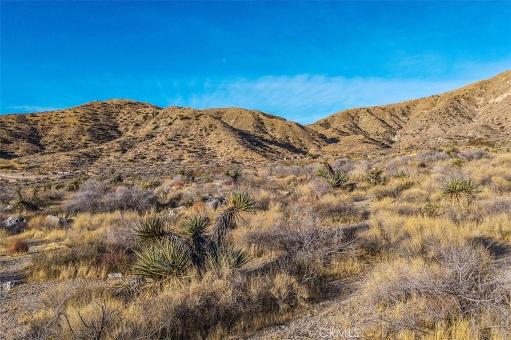 MLS #JT25039190 image #6