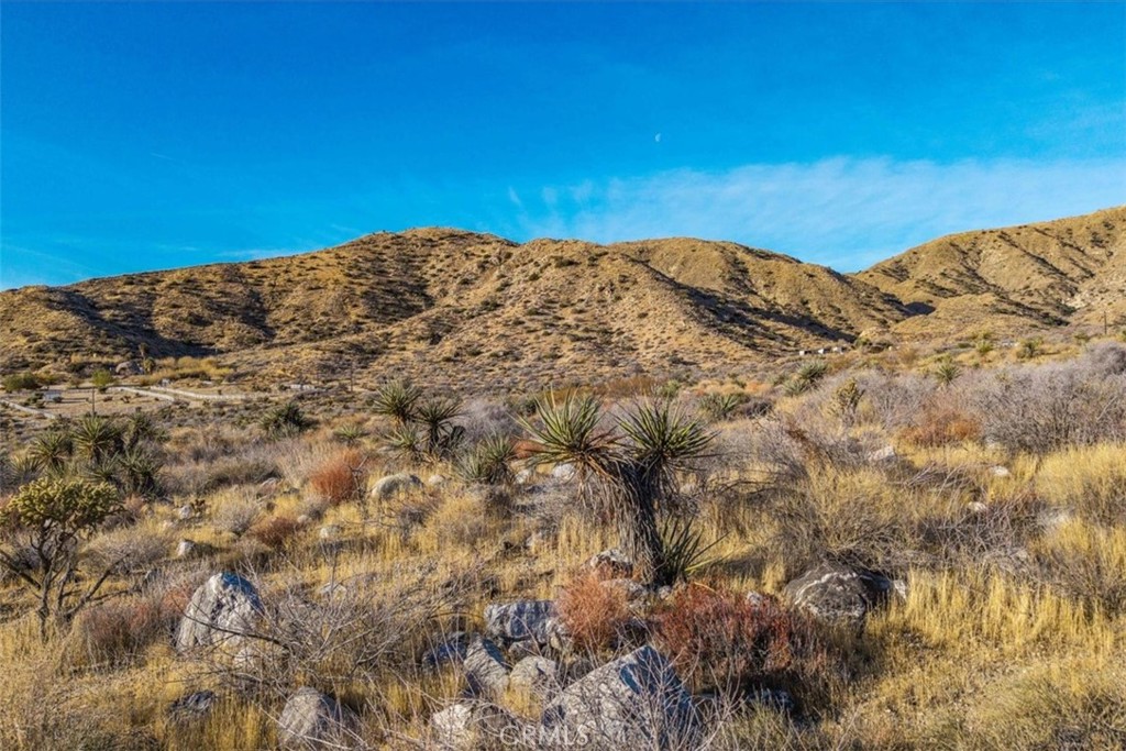 MLS #JT25039190 image #7