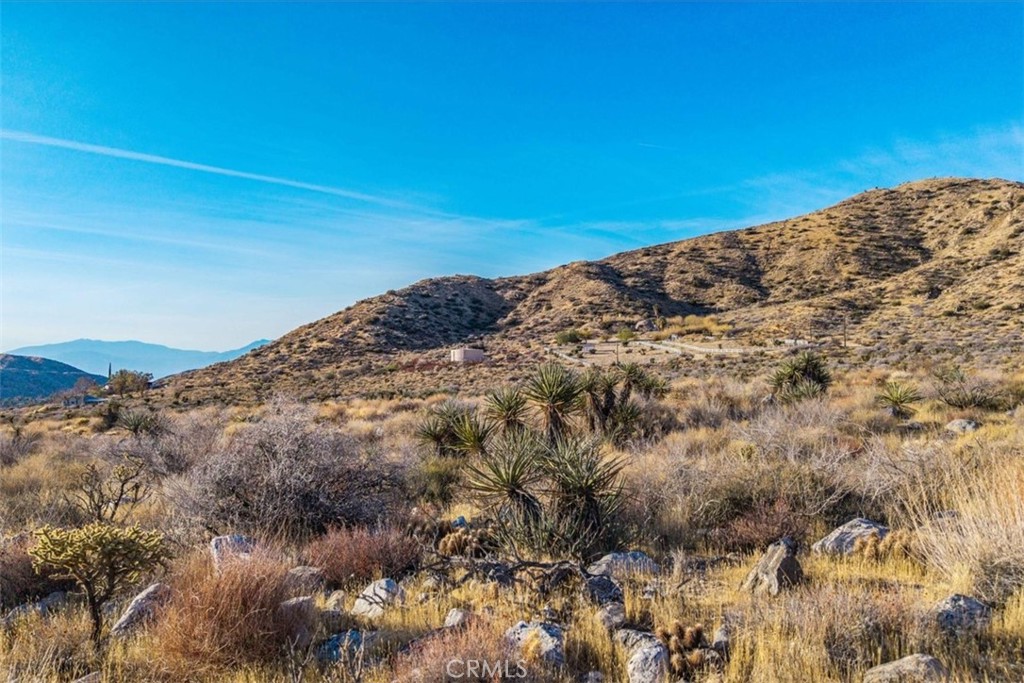 MLS #JT25039190 image #8