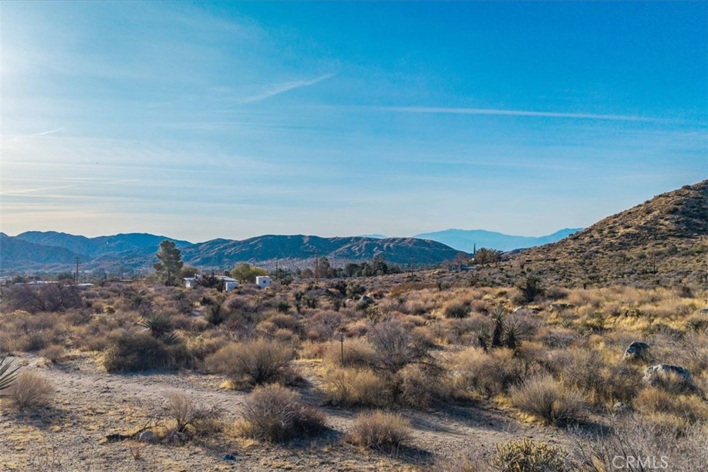 MLS #JT25039190 image #9