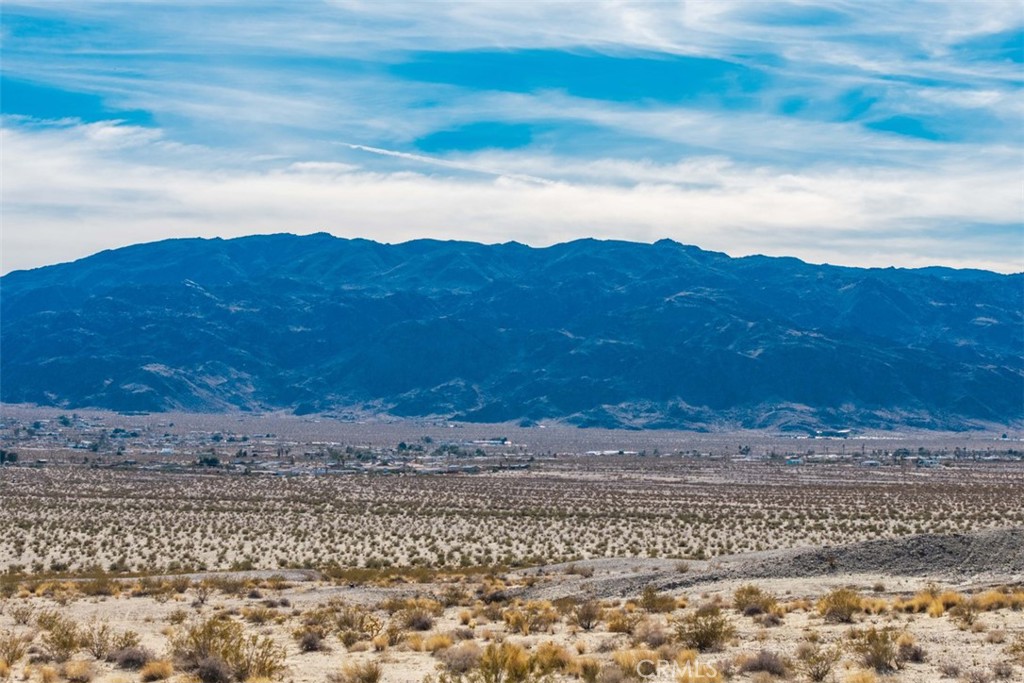 MLS #JT25040019 image #10