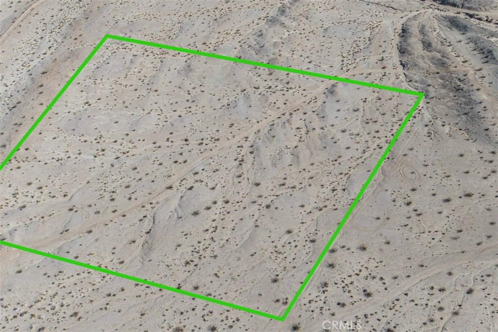 MLS #JT25040019 image #14