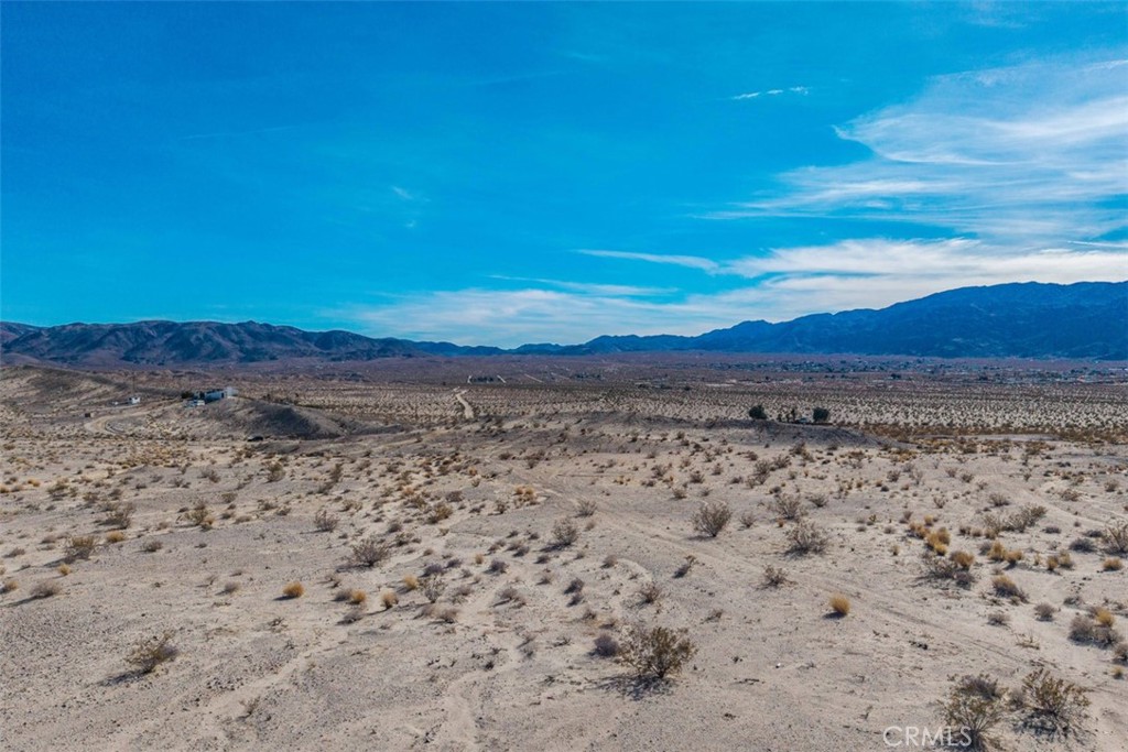 MLS #JT25040019 image #2