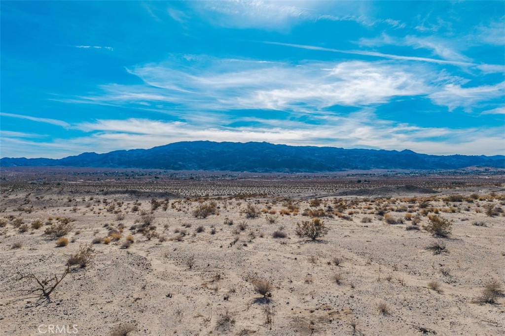 MLS #JT25040019 image #5