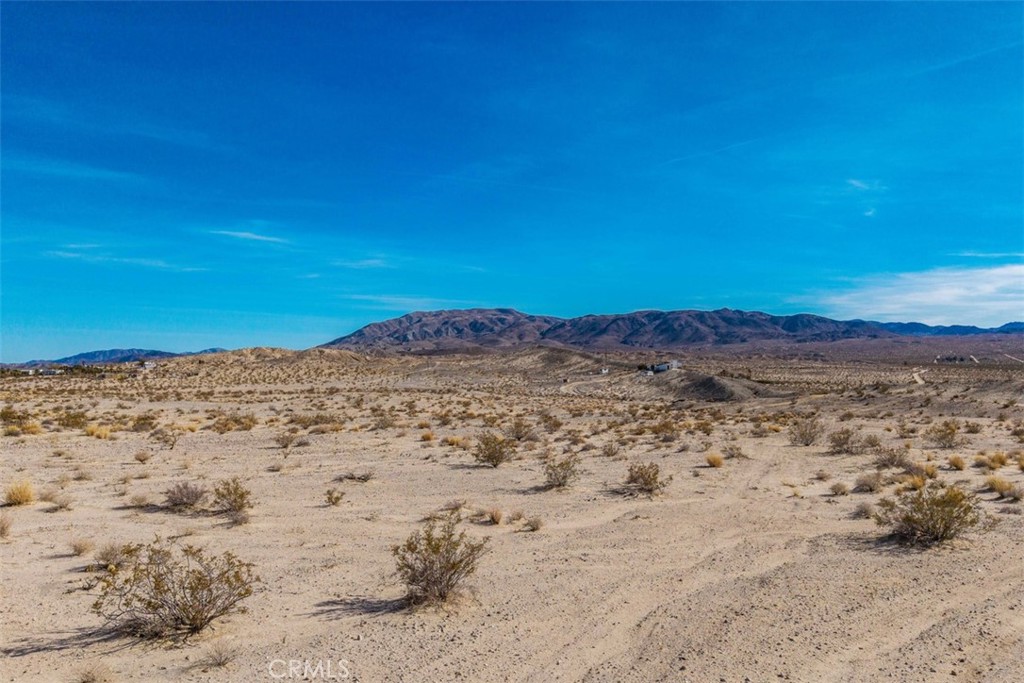 MLS #JT25040019 image #6