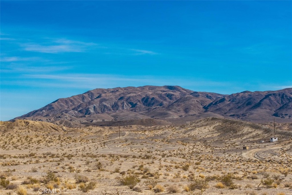 MLS #JT25040019 image #7