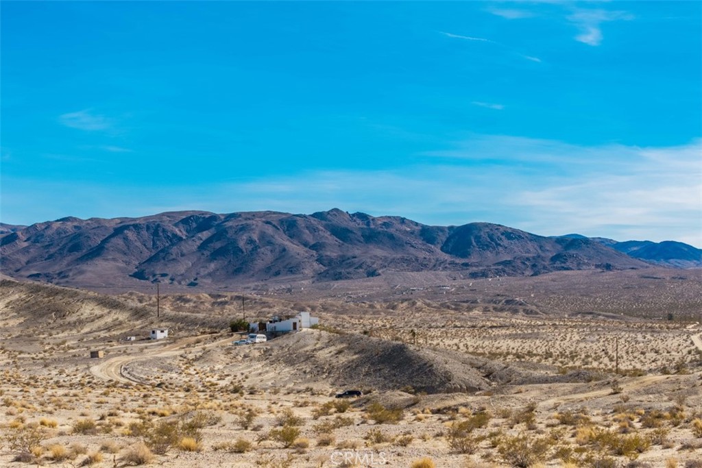 MLS #JT25040019 image #8