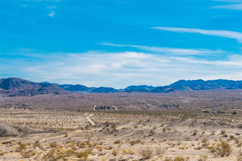 MLS #JT25040019 image #9