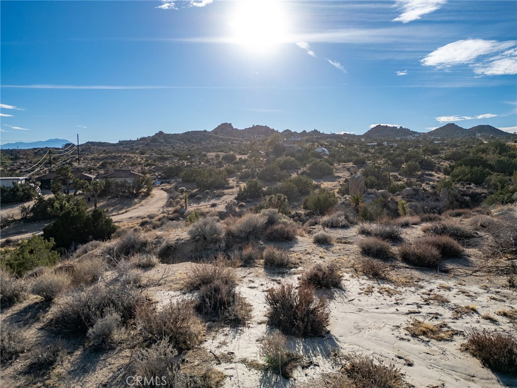 MLS #JT25040329 image #18