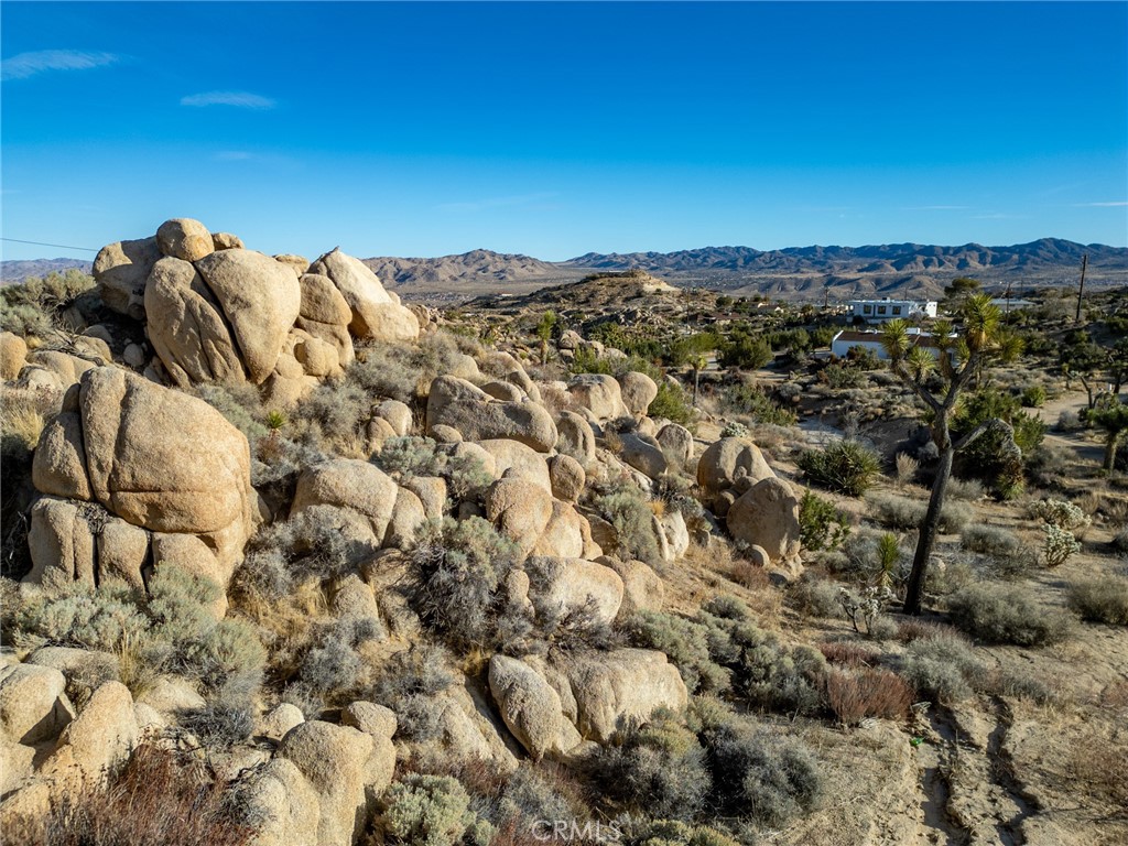 MLS #JT25040329 image #19