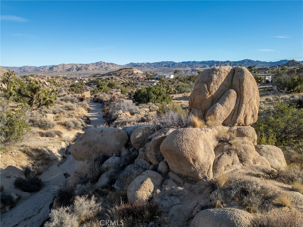 MLS #JT25040329 image #22