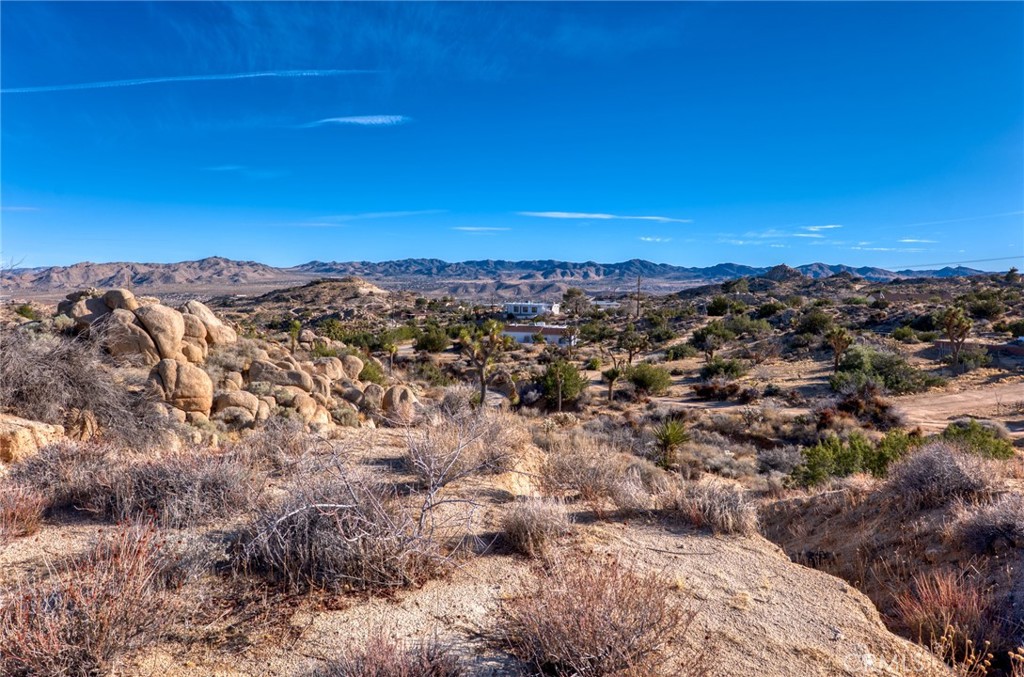 MLS #JT25040329 image #28