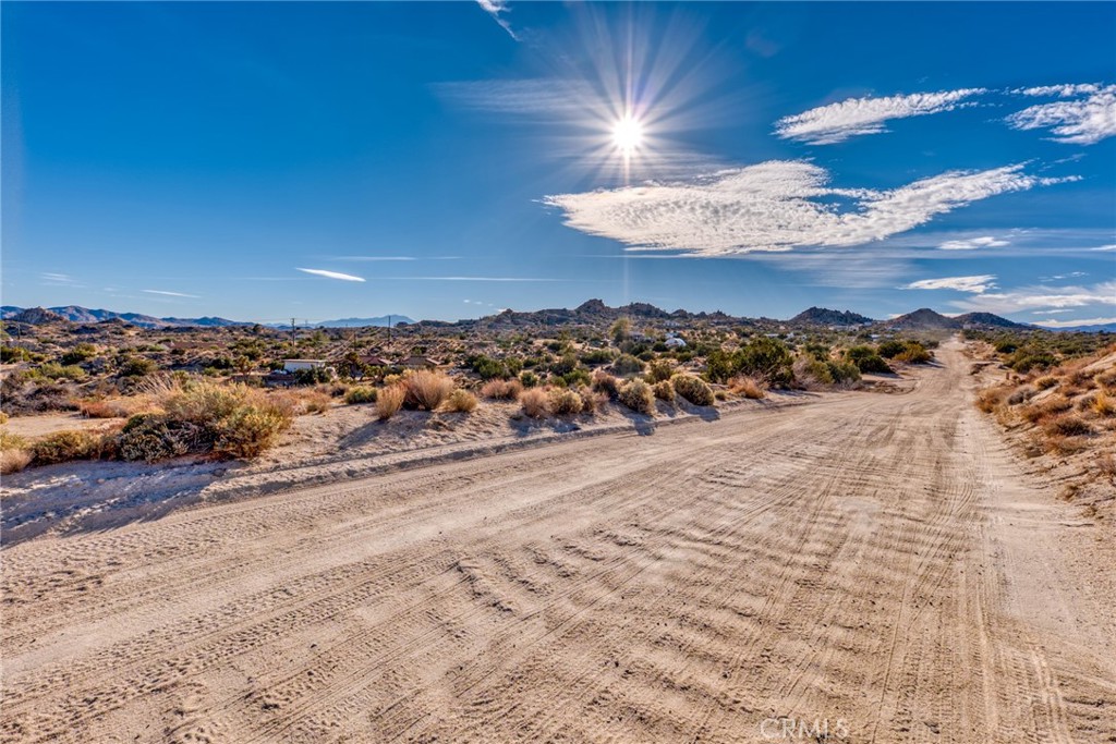 MLS #JT25040329 image #29