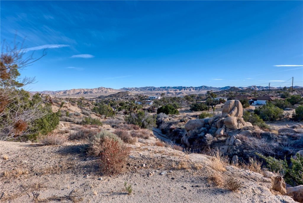 MLS #JT25040329 image #31