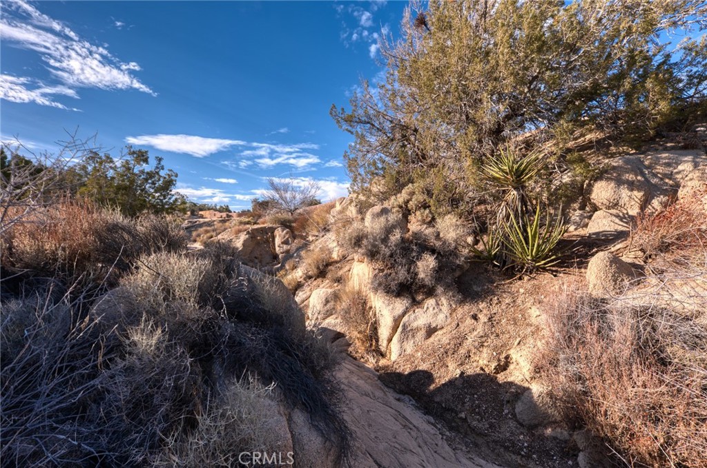 MLS #JT25040329 image #32