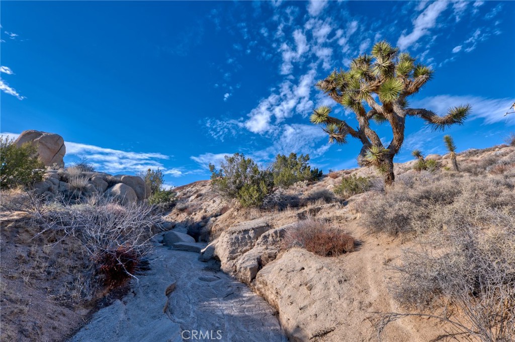 MLS #JT25040329 image #33