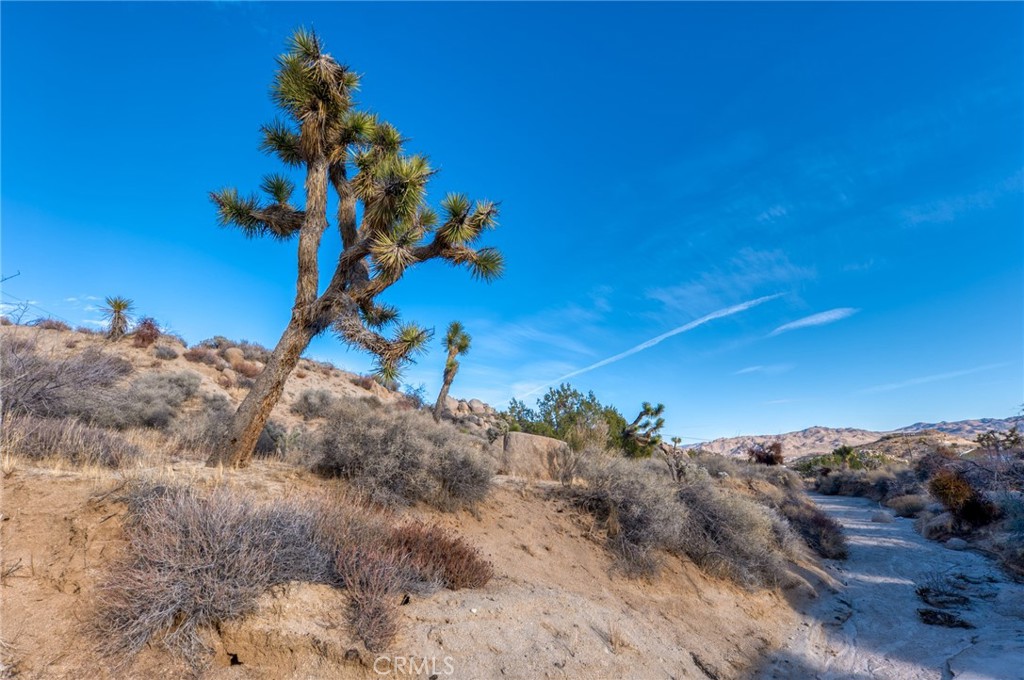 MLS #JT25040329 image #34