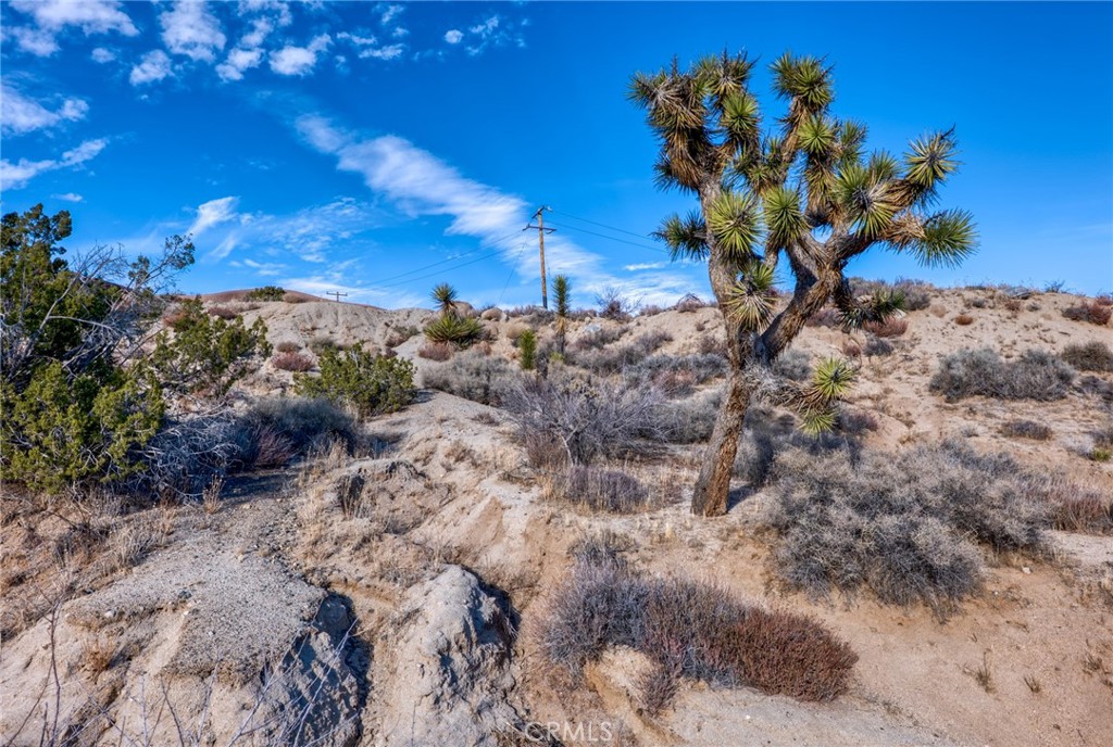 MLS #JT25040329 image #35