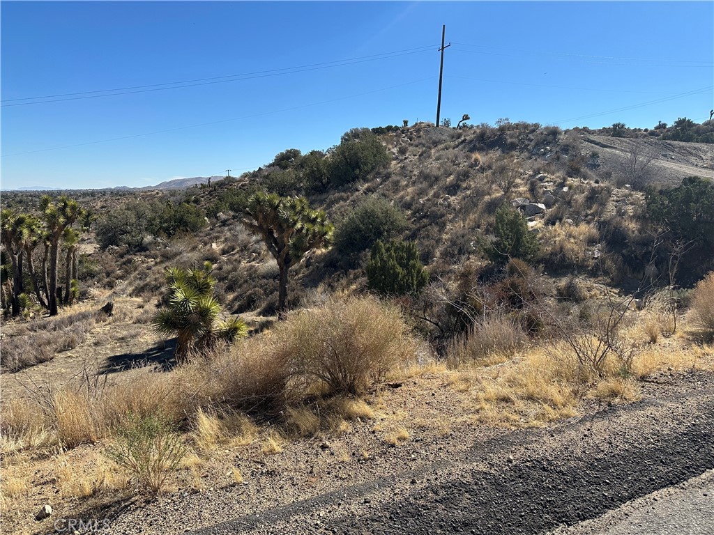 MLS #JT25040803 image #13