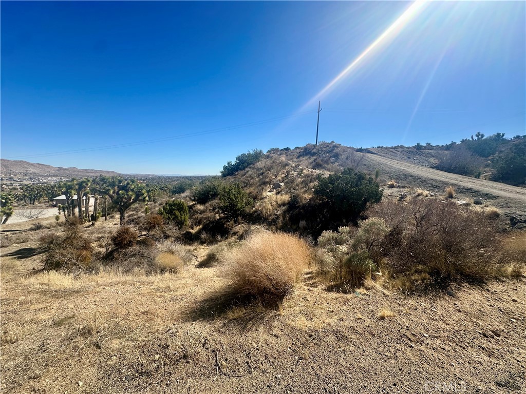 MLS #JT25040803 image #5