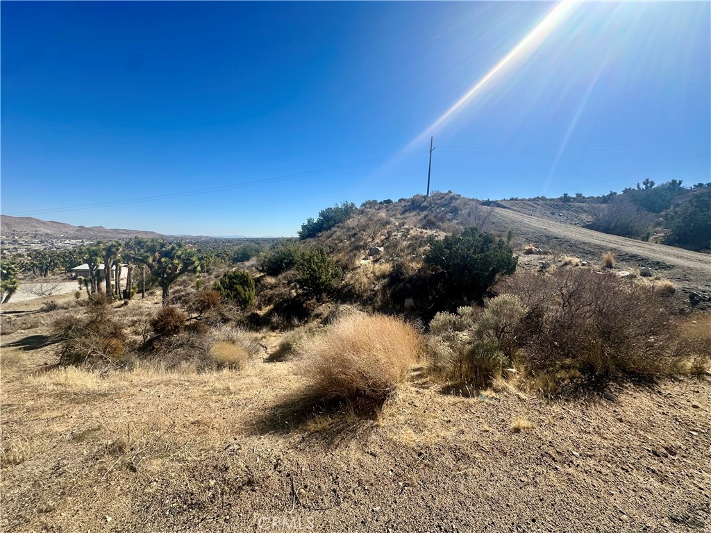 MLS #JT25040803 image #8