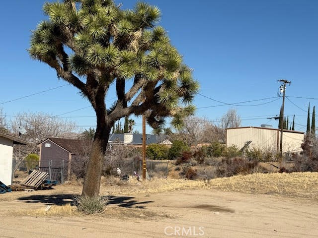 MLS #JT25042462 image #10