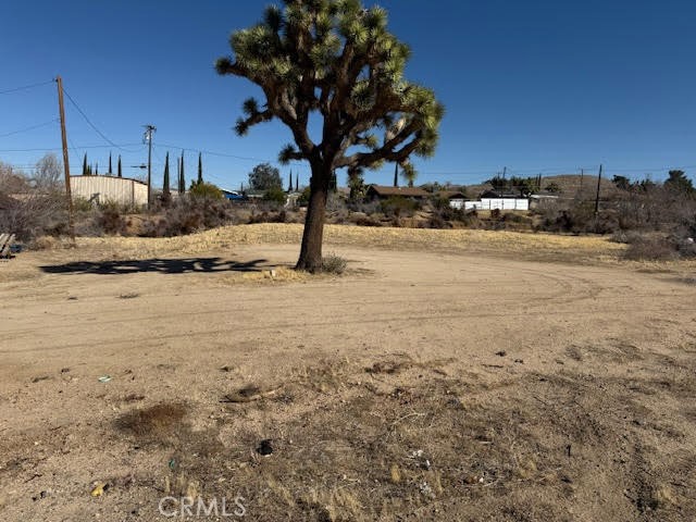 MLS #JT25042462 image #12