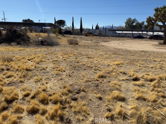 MLS #JT25042462 image #3