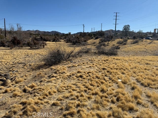 MLS #JT25042462 image #4